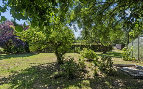Helge - 10Km from the Sea: Foglia, Albero, Verde, Ramo, Vegetazione, Arbusto, Comunita 'Impianto, Giardino, Groundcover, Woody Impianto