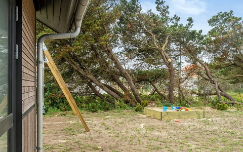 Ylermi - 600M from the Sea: Legna, Backyard, Giardino, Shade, Raccordo, Cortile, Edifici Giardino, Capannone, Plank
