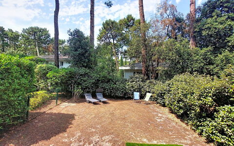 Beau Séjour: Arbusto, Giardino, Groundcover, Shade, Prato, Backyard, Landscaping, Hedge, Cortile, Driveway