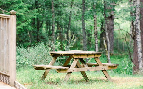 Alloggio:&nbsp;Capercaillie Cabin 100.3