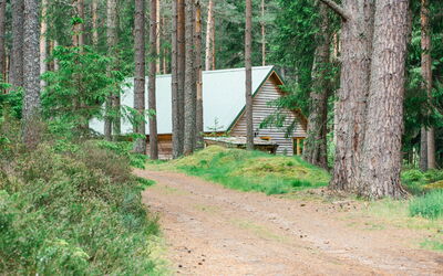 Alloggio:&nbsp;Capercaillie Cabin 100.3