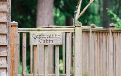 Alloggio:&nbsp;Capercaillie Cabin 100.3