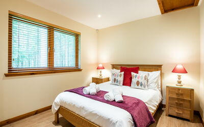 Alloggio:&nbsp;Pine Marten Lodge 100.1