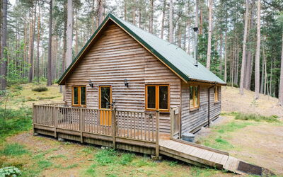 Alloggio:&nbsp;Pine Marten Lodge 100.1