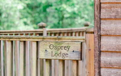 Alloggio:&nbsp;Osprey Lodge 100.4
