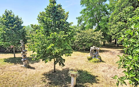 Monte: Zona Residenziale, Collina, Casa, Casa, Ricorrere, Catena Montuosa, Eco Hotel, Hill Station, Estate, Villa