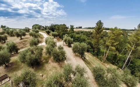 Villa Larino: Albero, Vegetazione, Paesaggio Naturale, Comunita 'Impianto, Lotto, Plain, Trail, Campo, Suolo