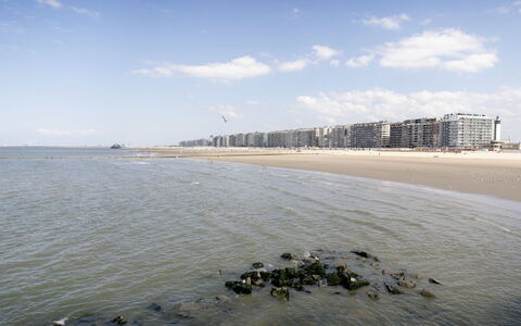 Centrally Located Sea You Again: Giorno, Acqua, Orizzonte, Costa, Mare, Spiaggia, Paesaggio, Costiera E Morfologie Oceanic, Riva, Oceano