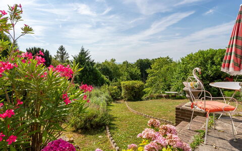 Maison Rose: Fiore, Verde, Giardino, Vegetazione, Arbusto, Rosa, Comunita 'Impianto, Primavera, Groundcover