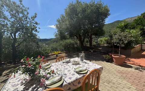 Il Fienile, Garden and Peacefull View: Giardino, Catena Montuosa, Vaso Di Fiori, Landscaping, Cortile, Pianta Della Casa, Sedia, Eco Hotel, Cucina & Sala Da Pranzo Tavolo