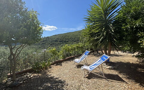 Il Fienile, Garden and Peacefull View: Arbusto, Giardino, Vaso Di Fiori, Landscaping, Shade, Giardino Botanico, Mobili Da Esterno, Passerella, Eco Hotel