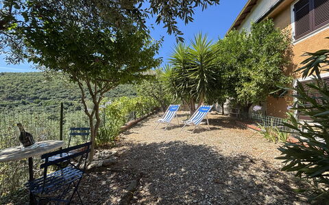 Il Fienile, Garden and Peacefull View: Arbusto, Comunita 'Impianto, Giardino, Landscaping, Shade, Vaso Di Fiori, Backyard, Cortile, Pianta Della Casa