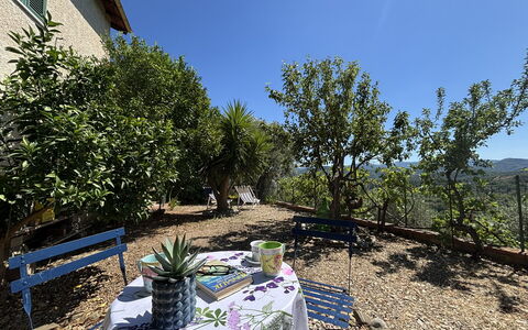 Il Fienile, Garden and Peacefull View: Arbusto, Paesaggio, Giardino, Primavera, Shade, Sedia, Landscaping, Vaso Di Fiori, Cortile