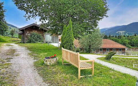 Kaprun 614: Erba, Casa, Area Rurale, Paesaggio, Arbusto, Lotto, Villetta, Primavera, Groundcover