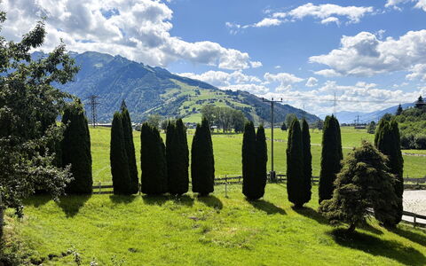 Kaprun 614: Geografia Montane, Verde, Albero, Ambiente Naturale, Natura, Erba, Collina, Paesaggio Naturale, Highland, Montagna