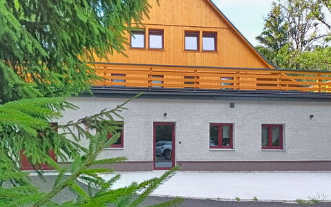 Janov Nad Nisou 6: Mobilia, Interior Design, Pavimentazione, Pavimento, Soffitto, Camera, Sedia, Tavolo, Appartamento, Cucina & Sala Da Pranzo Tavolo