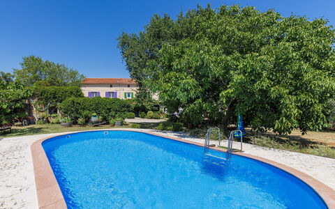 Nina: Blu, Piscina, Shade, Tempo Libero, Giardino, Backyard, Landscaping, Estate, Hacienda, Cortile