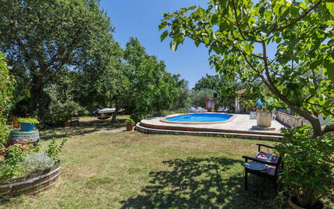 Helena: Albero, Giardino, Shade, Prato, Landscaping, Backyard, Cortile, Estate, Parco, Hacienda