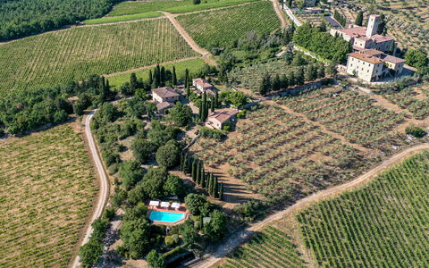 Borgo San Polino: Paesaggio, Piantagione, Lotto, Area Rurale, Visione Globale, Agricoltura, Estate, Villaggio, Campo, Azienda Agricola
