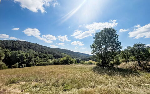 Horní Líšnice: Cielo, Blu, Giorno, Erba, Verde, Ambiente Naturale, Natura, Nube, Paesaggio Naturale, Vegetazione