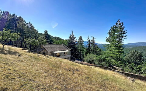 La Bergerie de Portes: Albero, Paesaggio, Lotto, Area Rurale, Villetta, Foresta, Larice, Pendenza, Prato, Capanna