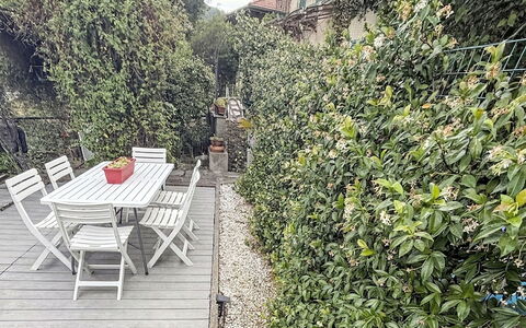 Colazza 100: Arbusto, Giardino, Primavera, Landscaping, Shade, Hedge, Recinzione, Home Scherma, Passerella, Backyard