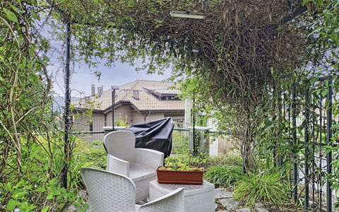 Colazza 100: Foglia, Vegetazione, Arbusto, Primavera, Ramoscello, Giardino, Shade, Backyard, Cortile, Recinzione