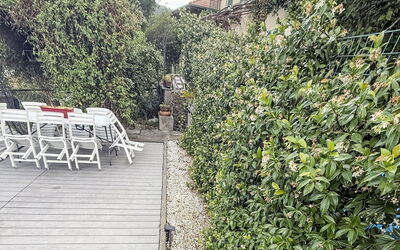 Colazza 100: Arbusto, Giardino, Primavera, Shade, Landscaping, Recinzione, Giardino Botanico, Home Scherma, Hedge