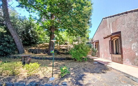 Il Giardino di Lara: Albero, Foglia, Ramo, Vegetazione, Arbusto, Shade, Giardino, Woody Impianto, Landscaping