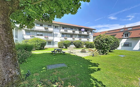 Bergzeit: Arbusto, Casa, Prato, Estate, Cortile, Giardino, Driveway, Landscaping, Passerella, Cortile