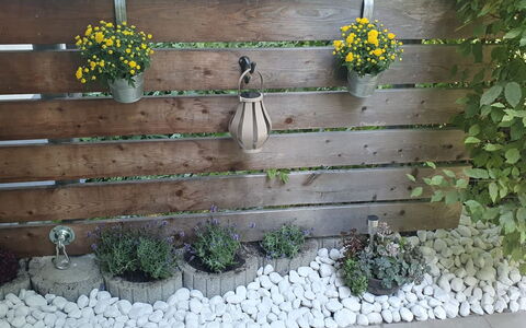 Bergzeit: Vaso Di Fiori, Giardino, Pianta Della Casa, Plank, Fiorai, Recinzione, Home Scherma, Backyard, Latifoglie, Erba