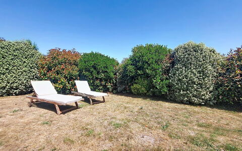 Bois et Lumière: Verde, Foglia, Arbusto, Giardino, Lotto, Groundcover, Hedge, Prato, Shade