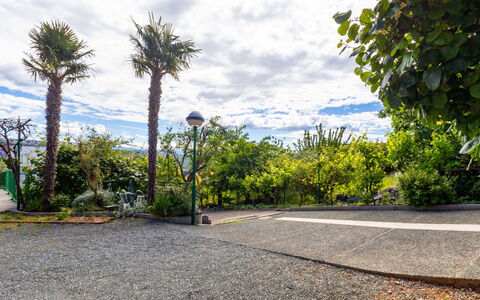 Duema: Arbusto, Giardino, Zona Residenziale, Comunita 'Impianto, Lotto, Groundcover, Landscaping, Backyard, Cortile