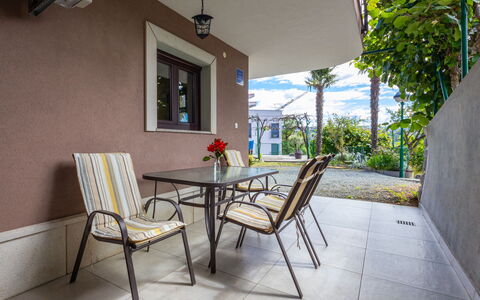 Duema: Arbusto, Giardino, Zona Residenziale, Comunita 'Impianto, Lotto, Groundcover, Landscaping, Backyard, Cortile