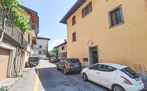 Stefani: Arbusto, Giardino, Zona Residenziale, Comunita 'Impianto, Lotto, Groundcover, Landscaping, Backyard, Cortile