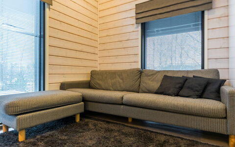 Golfarinkunnas 6A: Divano, Legna, Pavimentazione, Mobilia, Interior Design, Soggiorno, Tessile, Pavimento, Marrone, Appartamento