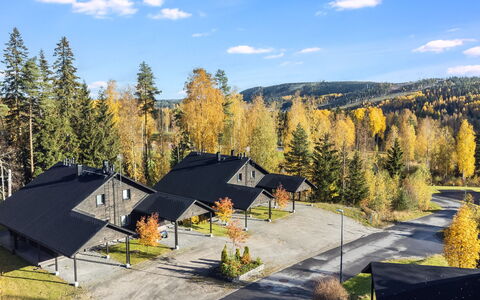 Golfarinkunnas 6B: Albero, Casa, Villetta, Casa, Tetto, Larice, Raccordo, Log Cabin, Woodland, Inverno