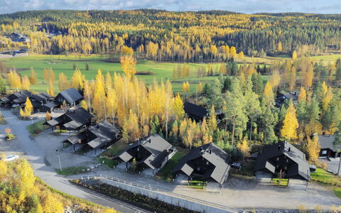 Golfarinkunnas 9F: Paesaggio, Area Rurale, Villetta, Villaggio, Larice, Autunno, Fotografia Aerea, Pine Famiglia