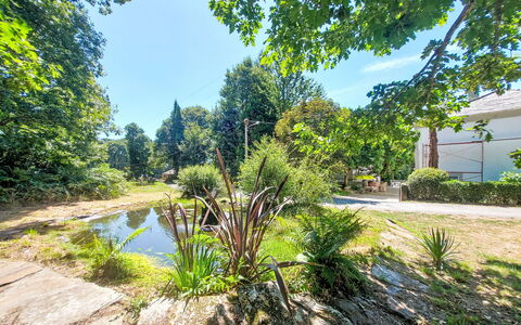 Pizarra: Vegetazione, Arbusto, Giardino, Groundcover, Luce Del Sole, Woody Impianto, Stagno, Shade, Landscaping, Giardino Botanico