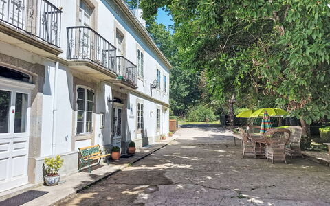 Pizarra: Albero, Ramo, Cortile, Driveway