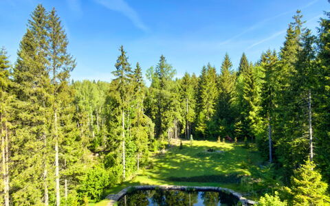Valera Vita Forest: Verde, Paesaggio Naturale, Giardino, Foresta, Landscaping, Larice, Stagno, Sempreverde, Giardino Botanico