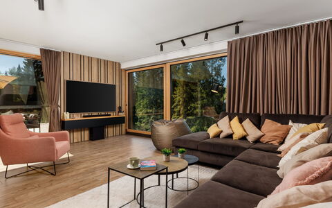 Valera Vita Forest: Mobilia, Interior Design, Divano, Pavimentazione, Pavimento, Soggiorno, Casa, Legna, Soffitto, Camera