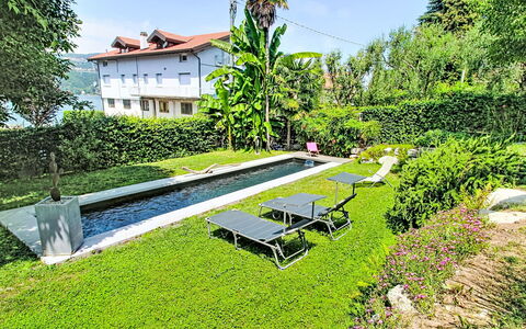Emma: Arbusto, Piscina, Giardino, Prato, Landscaping, Backyard, Ricorrere, Cortile, Estate, Giochi D'Acqua