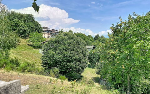 Baita Melissa: Albero, Foglia, Verde, Vegetazione, Arbusto, Comunita 'Impianto, Area Rurale, Groundcover, Giardino, Primavera