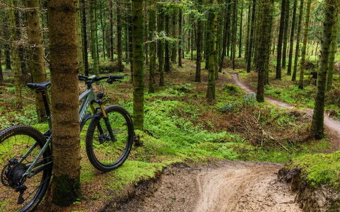 Henri - 700M from the Sea: Bicicletta, Bicycle Wheel, Andare In Mountain Bike, Foresta