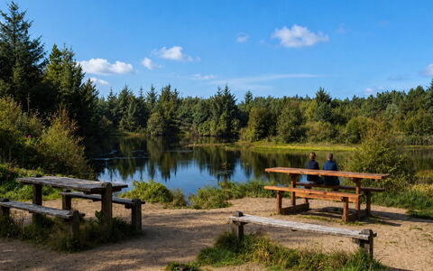 Henri - 700M from the Sea: Riserva Naturale, Serbatoio, Stagno, Riparia, Palude, Riflessione