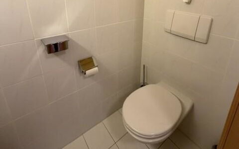 Lenk 755: Toilet Seat, Gabinetto, Parete, Bagno, Pavimentazione, Pavimento, Idraulico Fixture, Piastrella, Interior Design, Idraulico