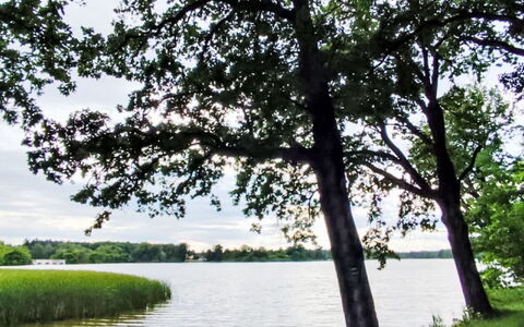 Trebon 1: Risorse Idriche, Acqua, Corpo D'Acqua, Verde, Natura, Ambiente Naturale, Foglia, Ramo, Paesaggio Naturale, Vegetazione
