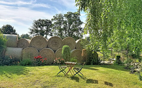 Chrischi: Verde, Erba, Arbusto, Giardino, Prato, Primavera, Shade, Prato
