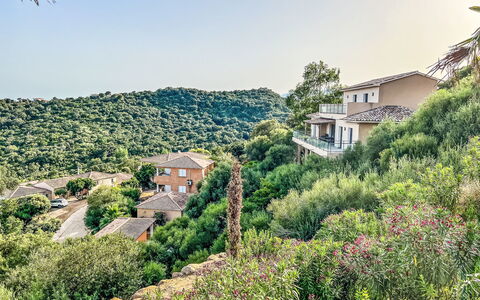 Alloggio:&nbsp;Dea Signature 650.6